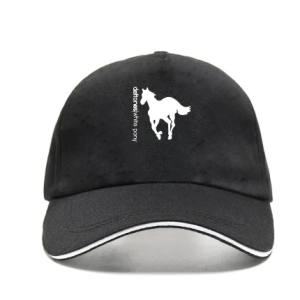 Deftones White Pony Cap